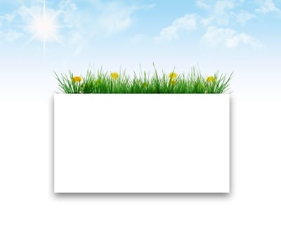 grass frame