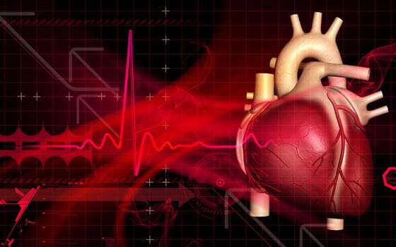 Digital illustration of heart in colour background