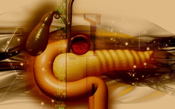 Digital illustration of pancreas in colour background