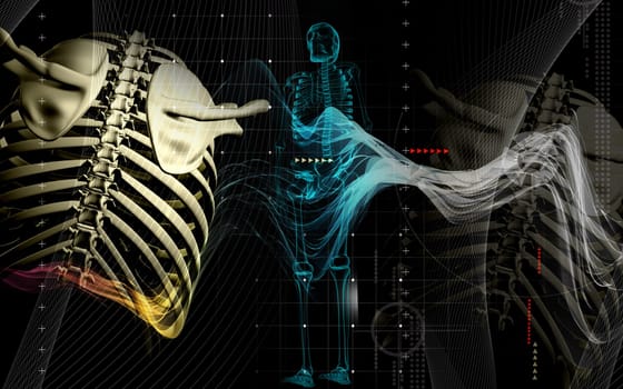 Digital illustration of collar bone in colour background