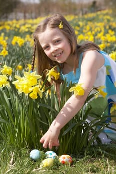 Girl On Easter Egg Hunt In Daffodil Field