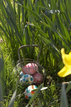 Easter Eggs Hidden In Daffodils For Egg Hunt