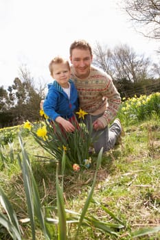 Father And Son On Easter Egg Hunt In Daffodil Field
