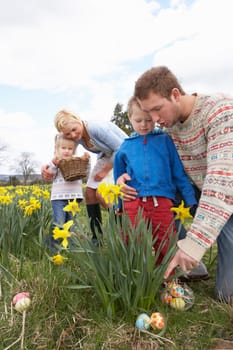Family On Easter Egg Hunt In Daffodil Field