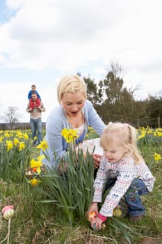 Family On Easter Egg Hunt In Daffodil Field