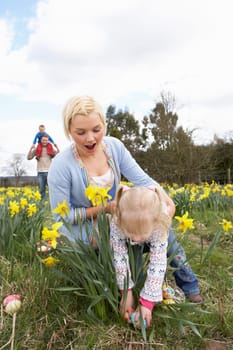 Family On Easter Egg Hunt In Daffodil Field