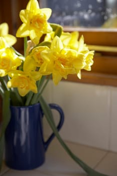Vase Of Daffodils In Blue Jug On Window Sill