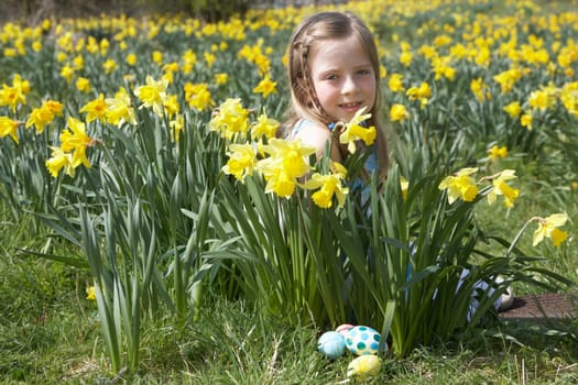 Girl On Easter Egg Hunt In Daffodil Field