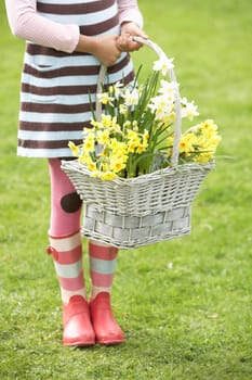 Detail Of Girl Holding Basket Of Daffodils In Garden