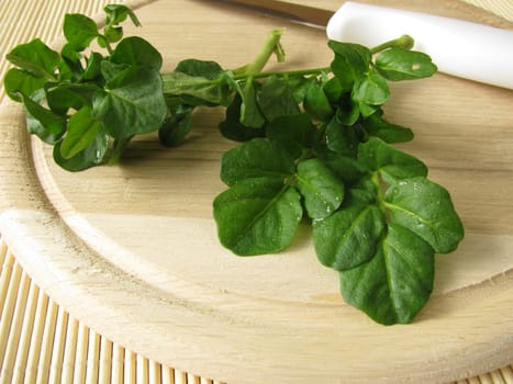 Fresh watercress on a wooden board