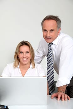 Business team working in the office