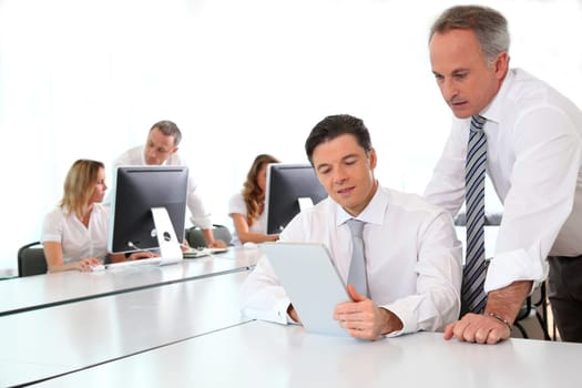 Business team working in the office