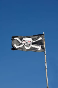 Skull Flag