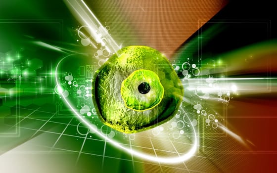 Digital illustration of ovum cell in colour background