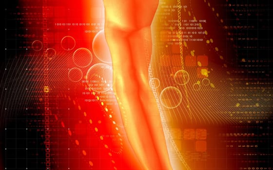 Digital illustration of hand bone in colour background