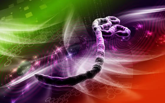 Digital illustration of Ebola virus in colour background