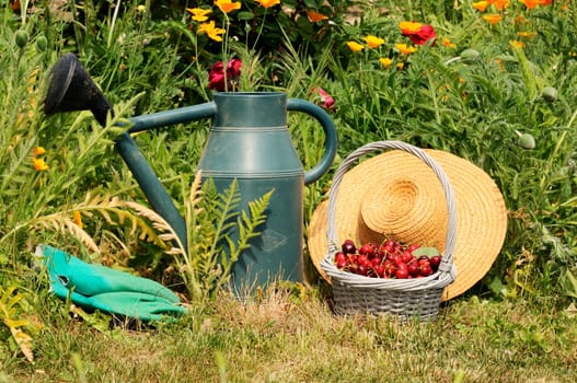 basket of cherries and straw hat in a flower garden