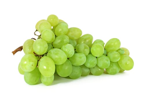 Ripe grapes isolated on white