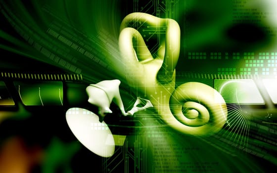 Digital illustration of ear in colour background