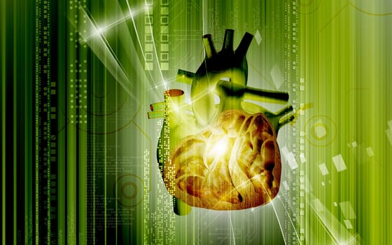 Digital illustration of heart in colour background