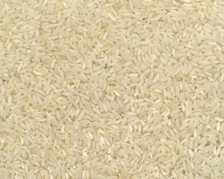 Pronounced texture of the long grain rice, the high accuracy of the details