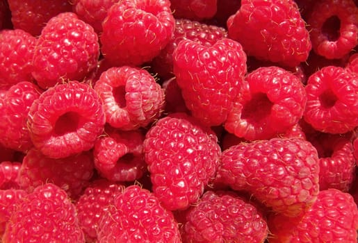 Fresh raspberry background