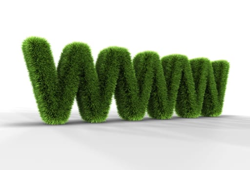 Grass letters WWW isolated on white background, 3D rendering