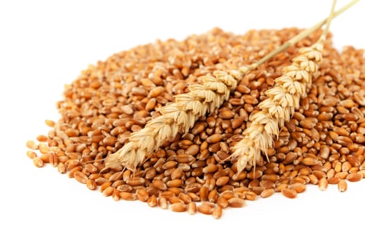 Wheat,cereals for the production of bakery products