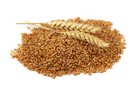 Wheat,cereals for the production of bakery products