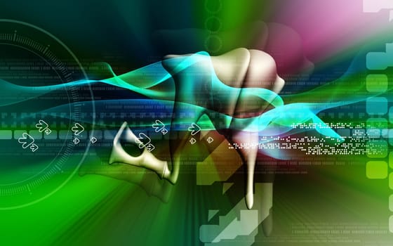 Digital illustration of ear in colour background