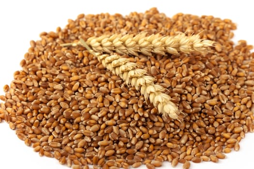 Wheat,cereals for the production of bakery products