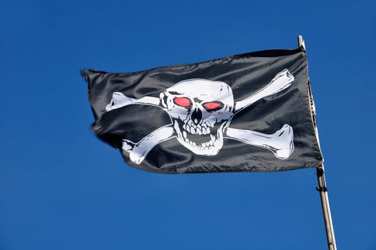 Flag with skull