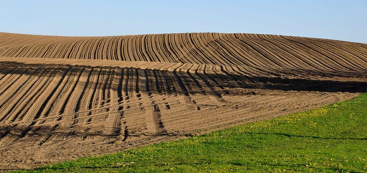 brown earth