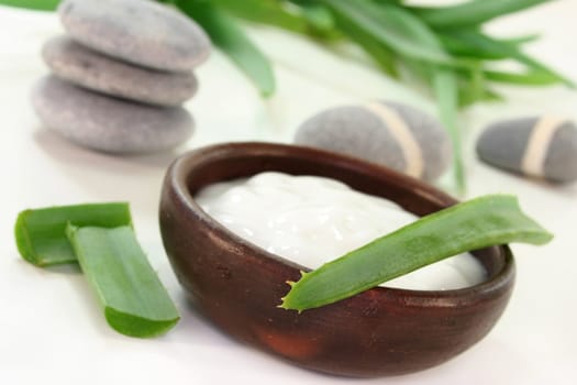 a bowl of lotion with aloe vera