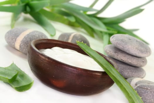 a bowl of lotion with aloe vera