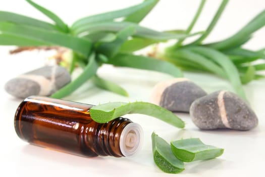 a small bottle and aloe against a white background