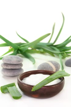 a bowl of lotion with aloe vera