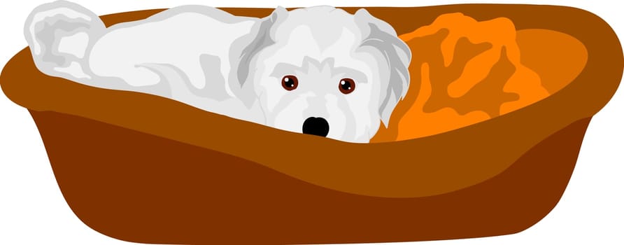vector - small puppy lying in cot, isolated on background
