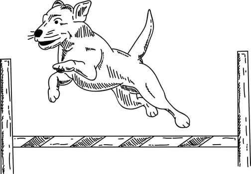 vector - dog agility , isolated on background