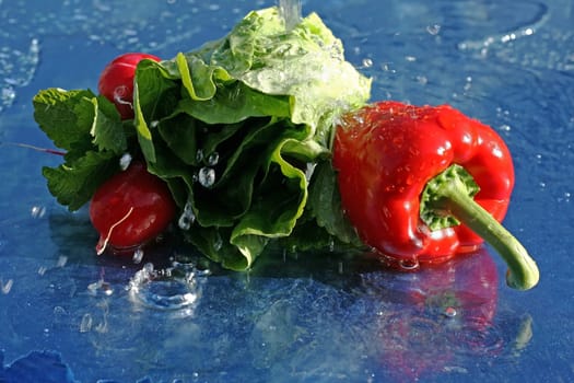 Delicious fresh salad and vegetables