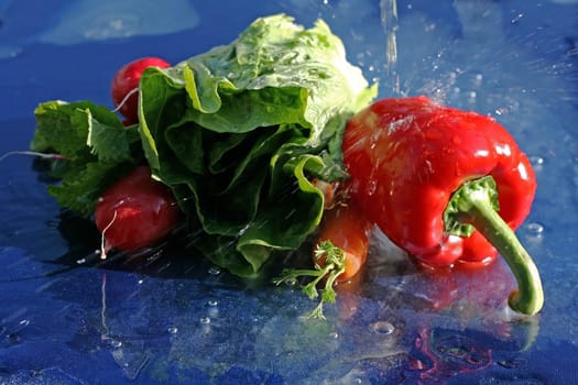 Wash salad and vegetables well