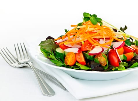 Plate of healthy green garden salad with fresh vegetables
