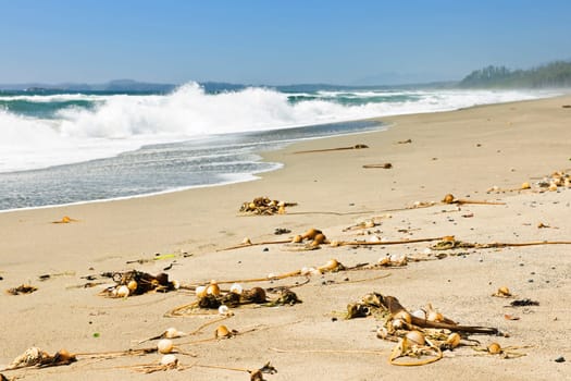 Long Beach in Pacific Rim National park, Canada