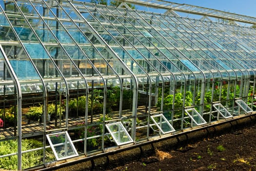 Large glass greenhouse or hothouse building exterior with plants
