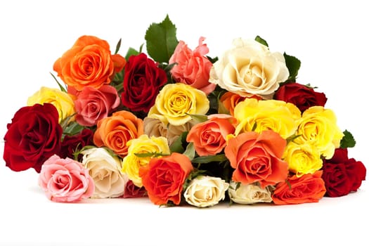 Roses,popular gifts for every occasion