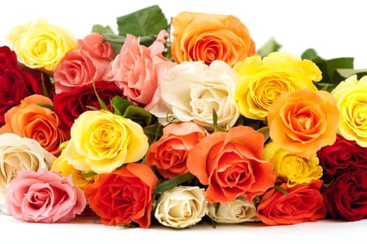 Roses,popular gifts for every occasion