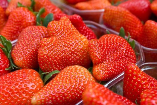 Strawberries