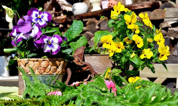 Romantic Floral Garden Terrace with Decoration