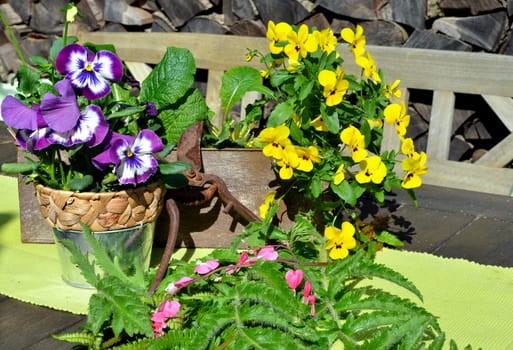 Romantic Floral Garden Terrace with Decoration