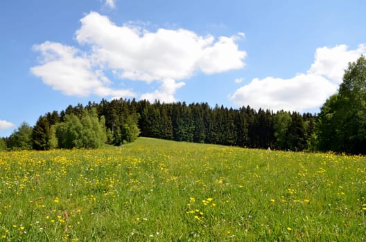Landscape,Flower Meadow,Clouds,Sky